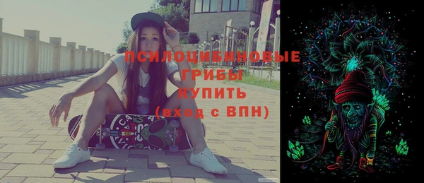 крисы Алексин